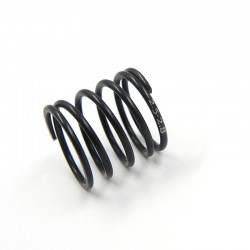 Touring Spring SLS C2.75 17.5mm Made By Axon 1pair Touring Spring SLS C2.75 17.5mm Made By Axon 1pair